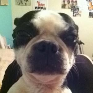 Meet your Posher, Matthew